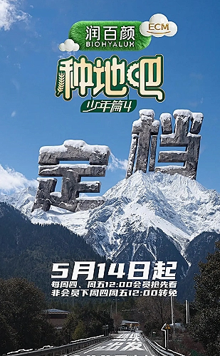 百日成王海报