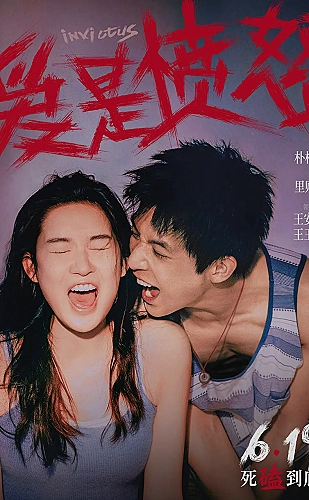 花开锦绣海报